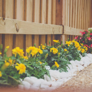 garden edge