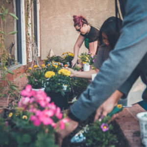 gardening